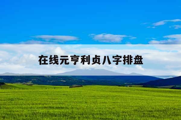 在线元亨利贞八字排盘