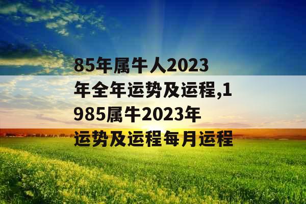 85年属牛人2023年全年运势及运程,1985属牛2023年运势及运程每月运程 85年属牛人2023年全年运势及运程,1985属牛2023年运势及运程每月运程