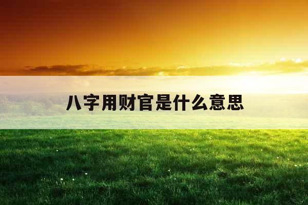 八字用财官是什么意思