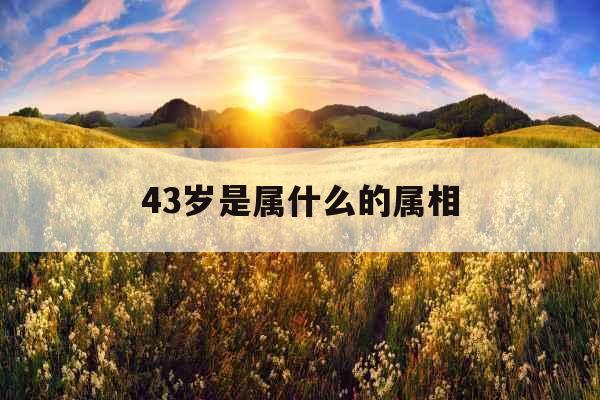 43岁是属什么的属相