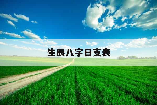 生辰八字日支表