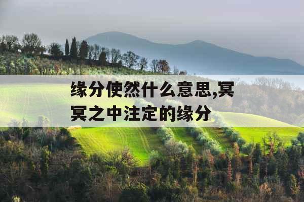 缘分使然什么意思,冥冥之中注定的缘分