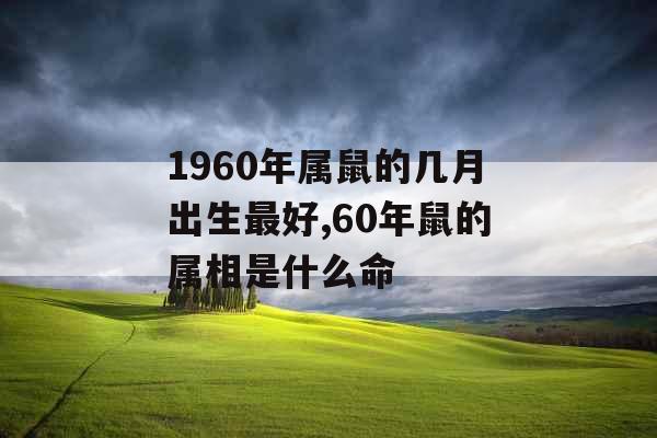 1960年属鼠的几月出生最好,60年鼠的属相是什么命