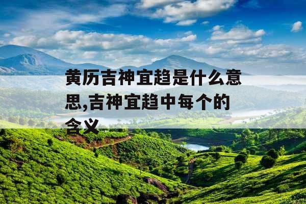 黄历吉神宜趋是什么意思,吉神宜趋中每个的含义