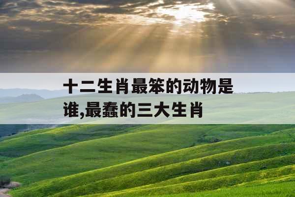 十二生肖最笨的动物是谁,最蠢的三大生肖