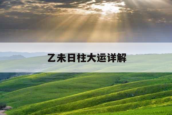 乙未日柱大运详解