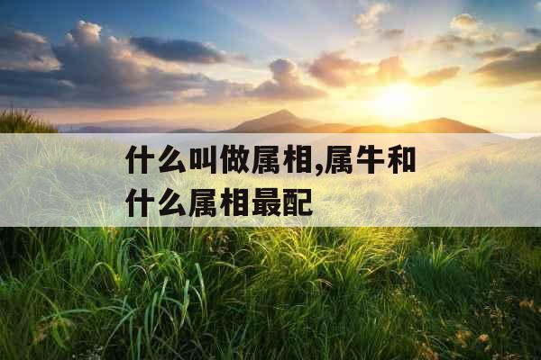 什么叫做属相,属牛和什么属相最配