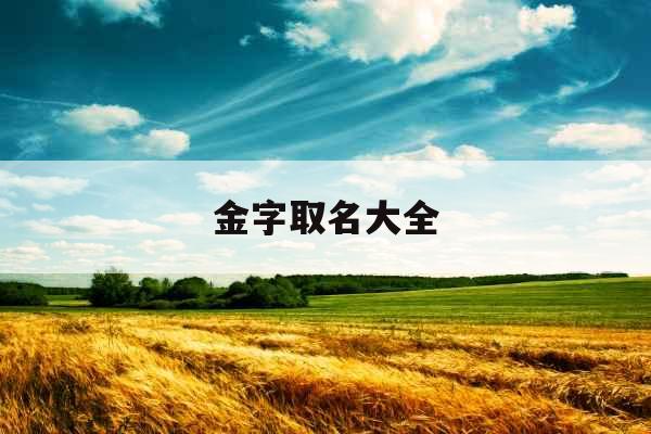 金字取名大全