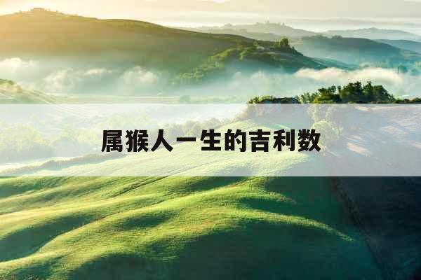 属猴人一生的吉利数 属猴人一生的吉利数