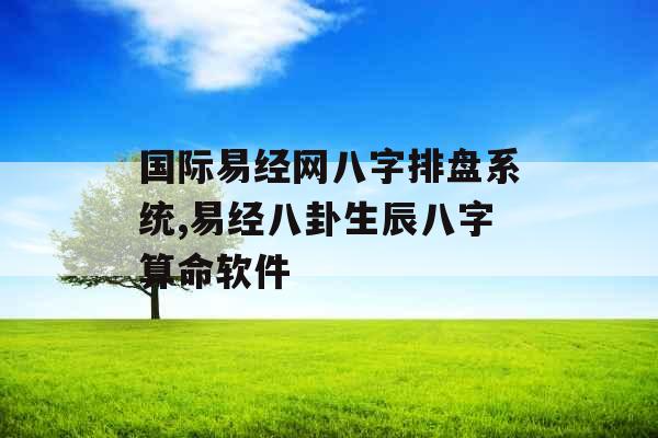 国际易经网八字排盘系统,易经八卦生辰八字算命软件
