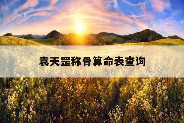 袁天罡称骨算命表查询