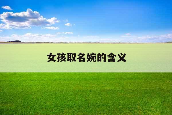 女孩取名婉的含义