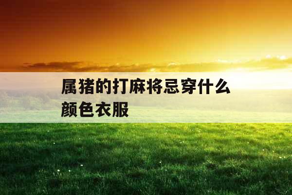 属猪的打麻将忌穿什么颜色衣服