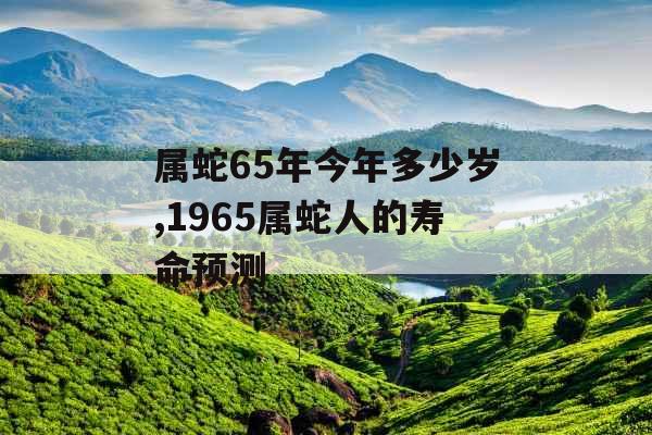 属蛇65年今年多少岁,1965属蛇人的寿命预测