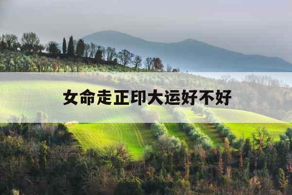 女命走正印大运好不好