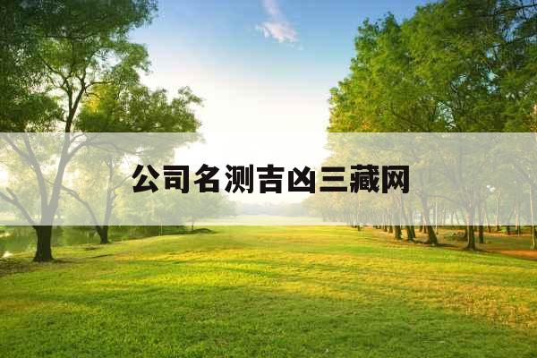公司名测吉凶三藏网