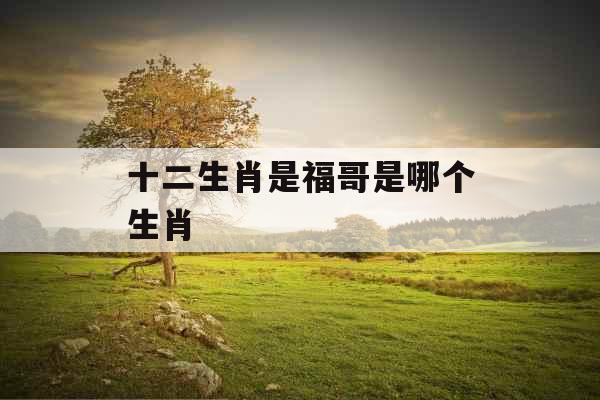 十二生肖是福哥是哪个生肖