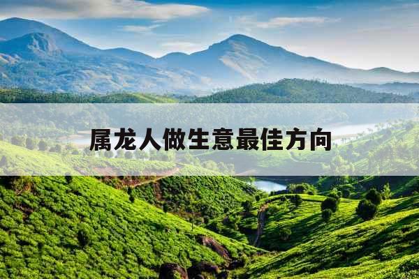 属龙人做生意最佳方向