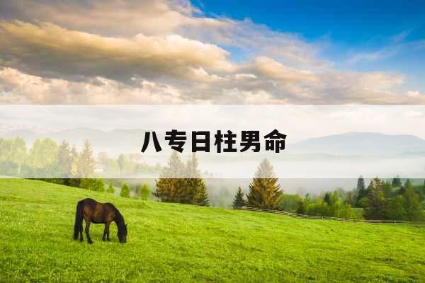 八专日柱男命 八专日柱男命