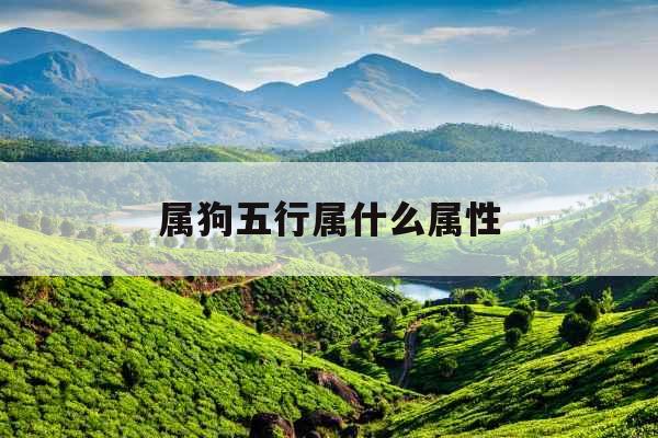 属狗五行属什么属性