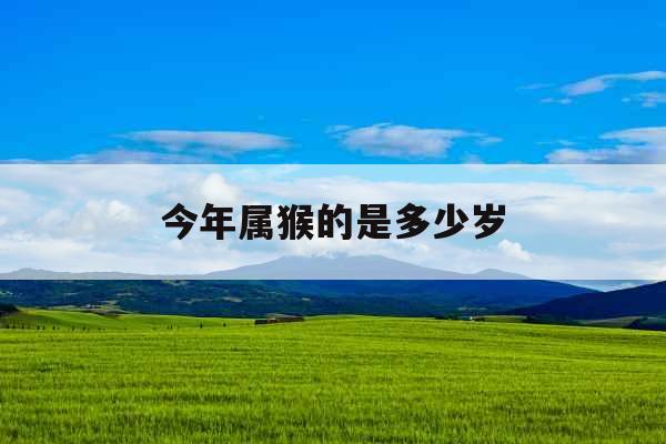 今年属猴的是多少岁 今年属猴的是多少岁