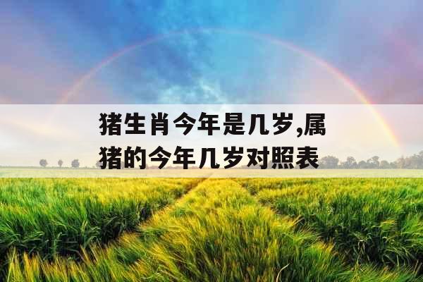 猪生肖今年是几岁,属猪的今年几岁对照表