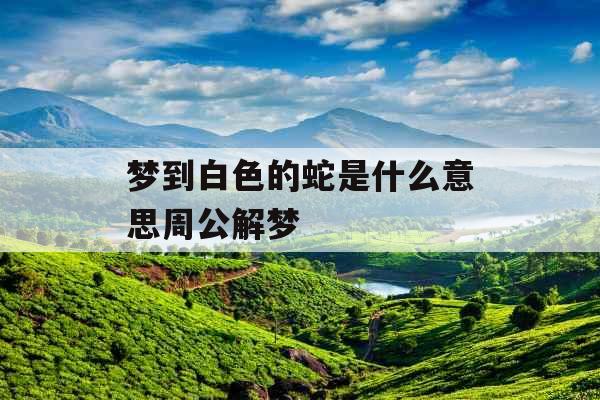梦到白色的蛇是什么意思周公解梦