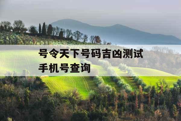 号令天下号码吉凶测试手机号查询