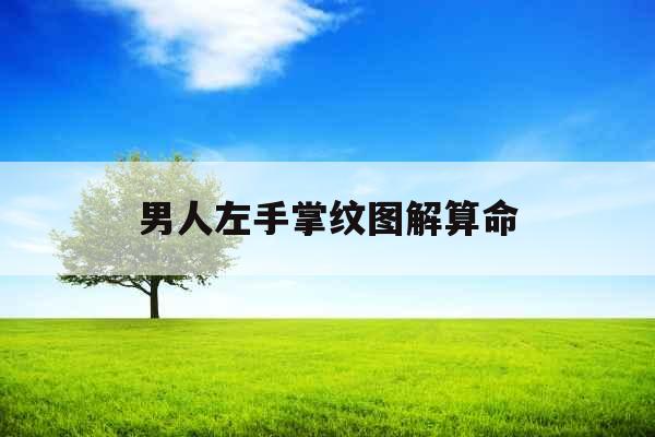 男人左手掌纹图解算命 男人左手掌纹图解算命