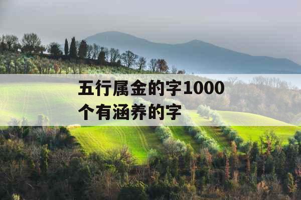 五行属金的字1000个有涵养的字