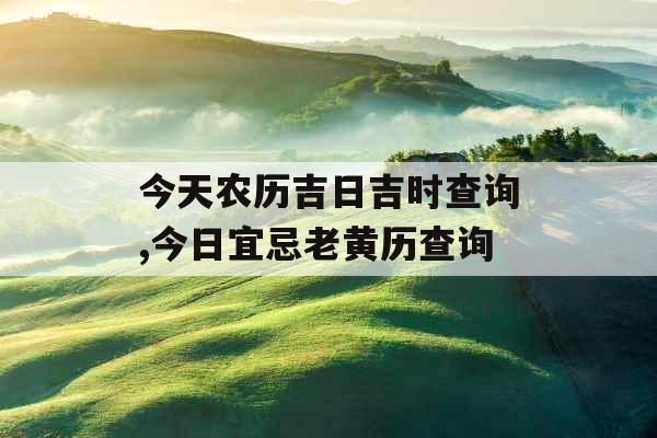 今天农历吉日吉时查询,今日宜忌老黄历查询