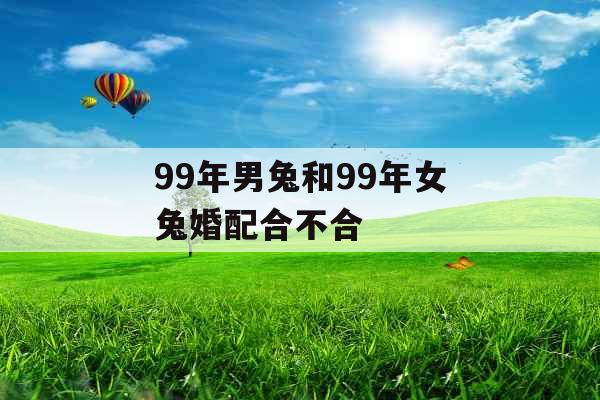 99年男兔和99年女兔婚配合不合