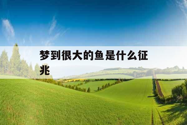 梦到很大的鱼是什么征兆