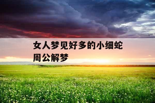 女人梦见好多的小细蛇周公解梦