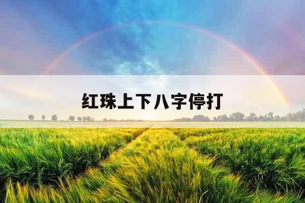 红珠上下八字停打