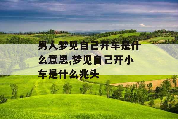 男人梦见自己开车是什么意思,梦见自己开小车是什么兆头