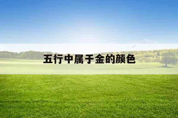 五行中属于金的颜色