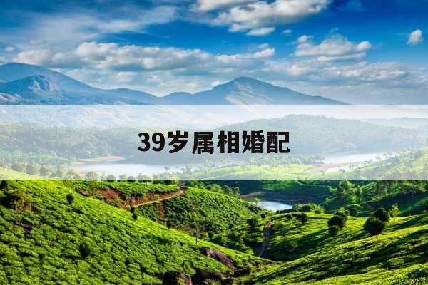 39岁属相婚配