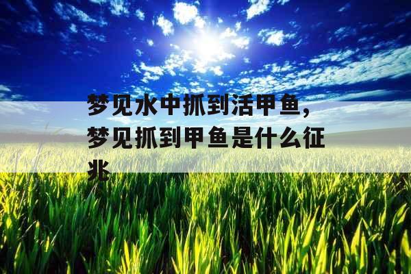 梦见水中抓到活甲鱼,梦见抓到甲鱼是什么征兆