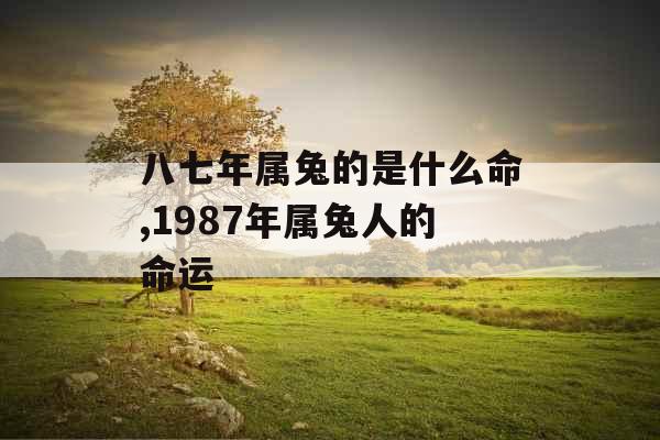 八七年属兔的是什么命,1987年属兔人的命运