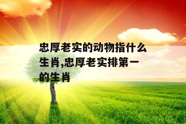 忠厚老实的动物指什么生肖,忠厚老实排第一的生肖