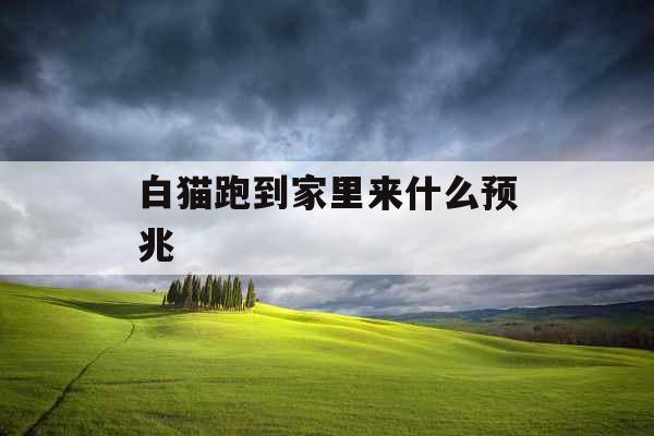 白猫跑到家里来什么预兆