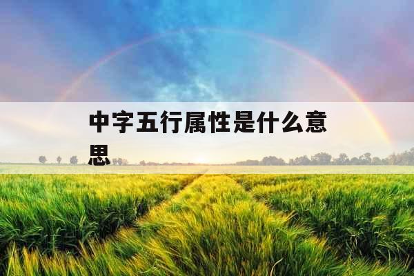 中字五行属性是什么意思