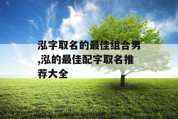 泓字取名的最佳组合男,泓的最佳配字取名推荐大全