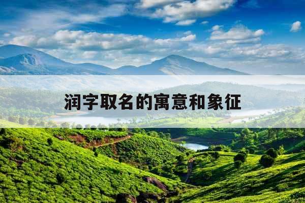 润字取名的寓意和象征 润字取名的寓意和象征