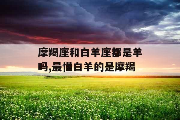 摩羯座和白羊座都是羊吗,最懂白羊的是摩羯