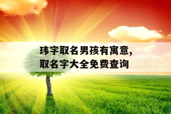 玮字取名男孩有寓意,取名字大全免费查询