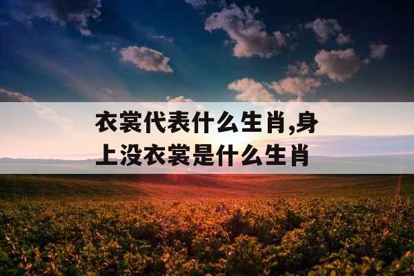 衣裳代表什么生肖,身上没衣裳是什么生肖