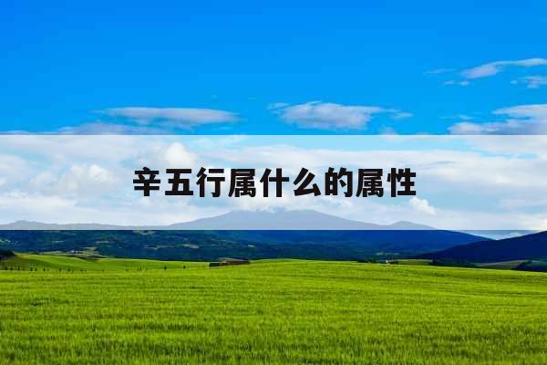 辛五行属什么的属性