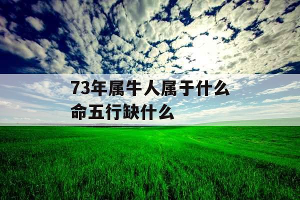 73年属牛人属于什么命五行缺什么